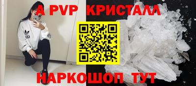 стаф Будённовск