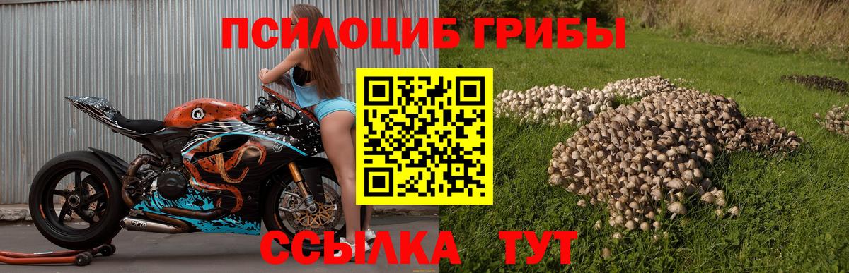 Галлюциногенные грибы Magic Shrooms Октябрьский