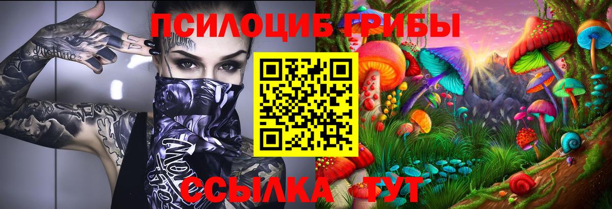 Галлюциногенные грибы GOLDEN TEACHER  Вход с VPN  Октябрьский  как найти закладки  Псилоцибиновые грибы Psilocybe 